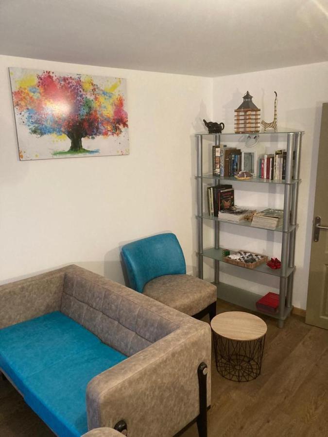 Appartement Plein Pied 45 M2 Baccarat Buitenkant foto